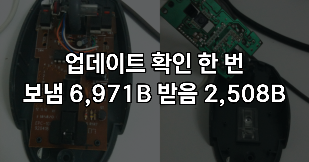 워드프레스는 업데이트를 확인하며 서버 명세서도 보냅니다